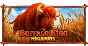 ภาพเกม Buffalo King Megaways ที่ ottonew รวบรวมไว้
